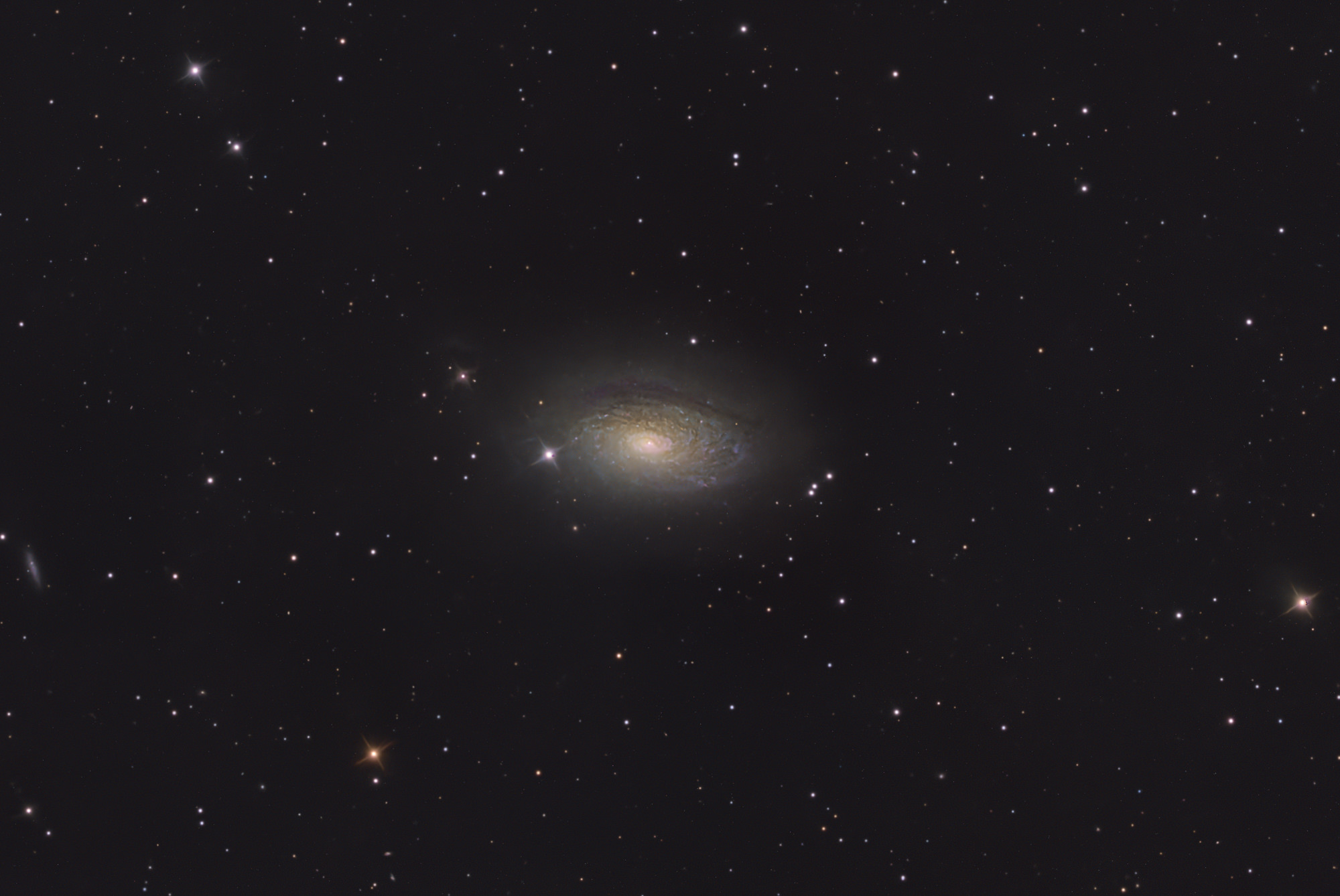 The Sunflower Galaxy Messier 63 is a spiral galaxy in the constellation Canes Venatici in the northern sky and has a diameter of approximately 50,000 light-years. Unusual and eponymous are the many, clearly visible, nodular condensations in its spiral arms. These are star-forming regions and luminous gas clouds.